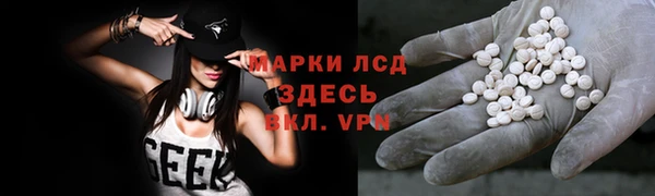 хмурый Абаза
