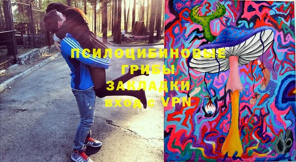 хмурый Абаза