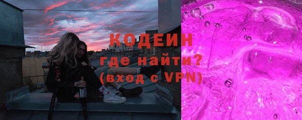 хмурый Абаза