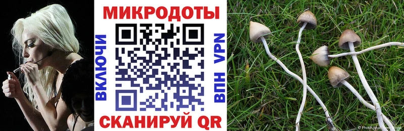 как найти закладки  Дивногорск  Псилоцибиновые грибы GOLDEN TEACHER 