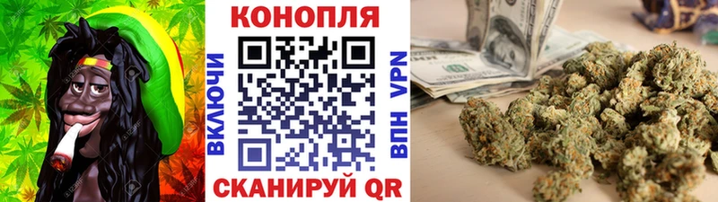 Каннабис ГИДРОПОН Дивногорск